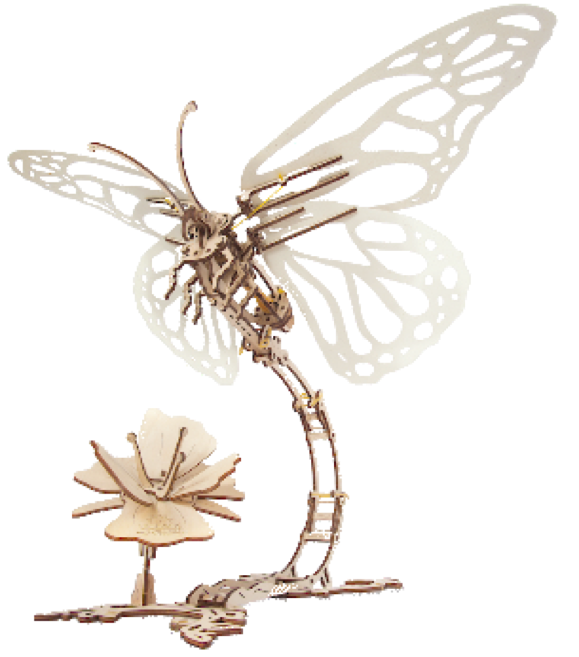 Papillon